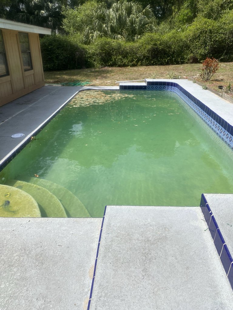 Green algae pool before recovery by Commercial Aquaworx